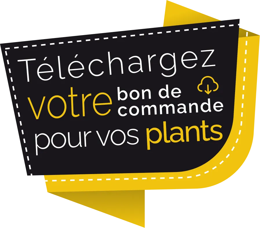 Le Hangar Épicerie Fine